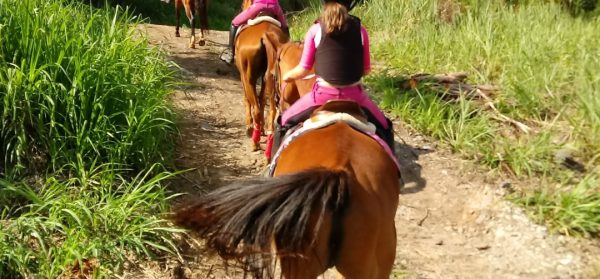Saber montar e praticar uma atividade equestre