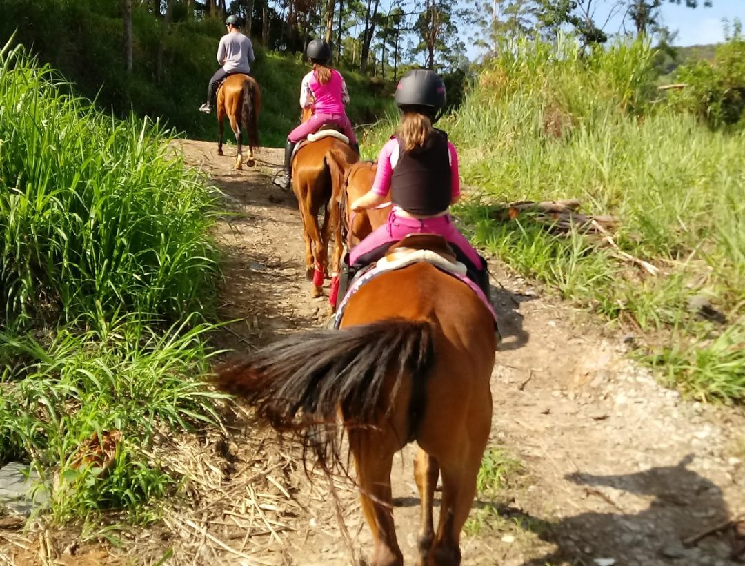 Saber montar e praticar uma atividade equestre